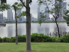-深圳人才公园