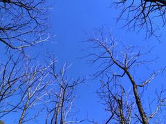 -终南山南五台景区