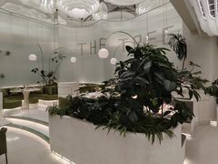 -大树餐厅(环球港店)