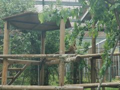 -上方山森林动物世界
