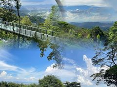 -黄埔油麻山森林公园