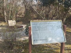 -盘龙城国家考古遗址公园