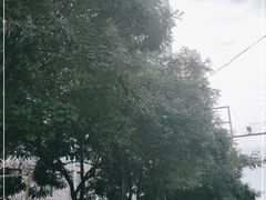 -甘肃地质博物馆