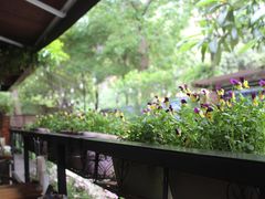 -宝翠花园餐厅(沙湖店)