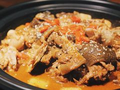 甲鱼牛蛙锅-洪湘记川湘·甲鱼馆(四海凯悦美食广场店)