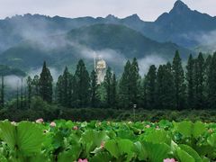 -九华山风景区