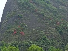 -崀山风景名胜区
