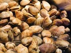 -味餐厅·海鲜·火锅·自助餐