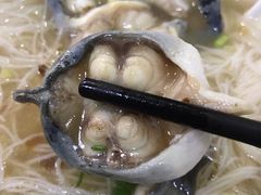 特大万绿湖湖鳝-荔林食店(西华路店)
