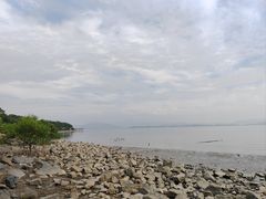 -深圳湾公园(南山区)