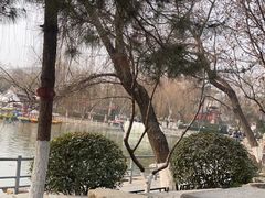 -莲湖公园