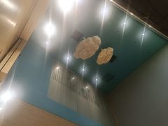 -IBOBI早教·托班·国际家庭互动成长中心(欢乐海岸中心)