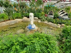 -南宫五洲植物乐园