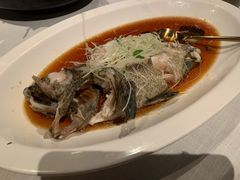 荷叶蒸老虎斑-三号黄浦会Canton Table