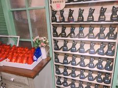 -猫咪博物馆(顶澳仔猫街店)