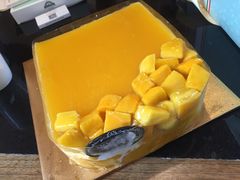 -维尔纳斯·生日蛋糕动物奶油冰淇淋蛋糕(人大店)