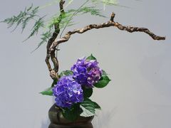 -乐领拈花溪·林涧食韵