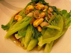 大丰收生菜-顺峰(南二环店)