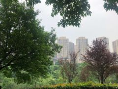 -龙头寺公园
