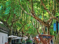 -小河直街历史文化街区