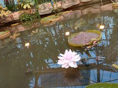 -华南国家植物园-售票处