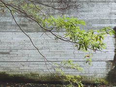 -鹿野苑石刻艺术博物馆