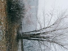 -天津梅江会展中心