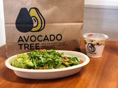 -油梨树AVOCADO TREE(嘉里中心店)