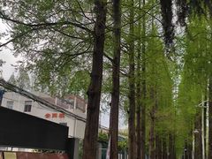 -小李子油焖大虾向阳总店