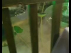 -章丘宴(唐人中心店)