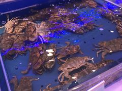 -澜悦港海鲜体验主题餐厅
