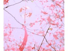 -田野绿世界