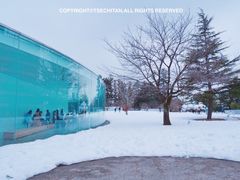 -金泽21世纪美术馆