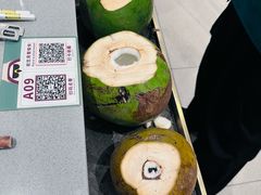 -椰小鸡·琼州糟粕醋(美兰缤纷城店)