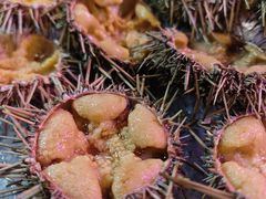 -三月居酒屋(青年大街店)