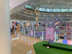 -深圳龙华星河COCO City(民治店)