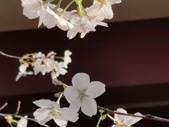 -堤角公园