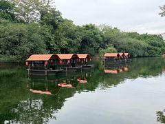 -侨美·唐荔园·40年地道粤菜