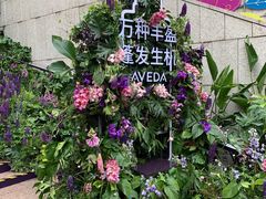 -上海久光百货