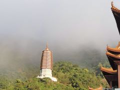-深圳仙湖植物园