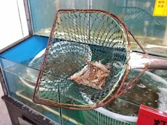 -渔民船说·北塘海鲜·天津菜·海肠捞饭(北塘古镇店)