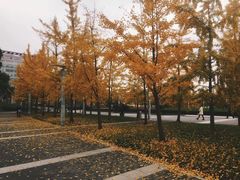 -中国计量大学(西校区)
