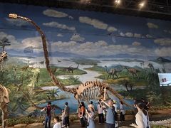 -自贡恐龙博物馆