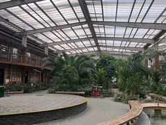 -南宫五洲植物乐园