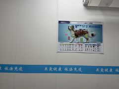 -艾贝尔宠物医院·宠保定点·超声绝育·免疫点(樱花路店)