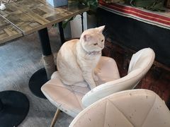-小时光咖啡馆(北锣鼓巷店)