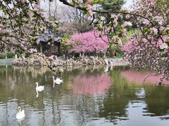 -莫愁湖公园