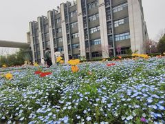-浙江大学(紫金港校区)