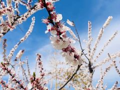 -村长家的疙瘩汤(淄博路店)