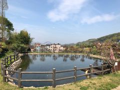 -桑洲油菜花景区